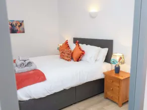 Hedgehog Hideaway - Camera