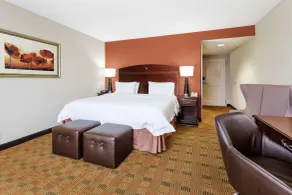 Hampton Inn Moss Point Pascagoula - Chambre
