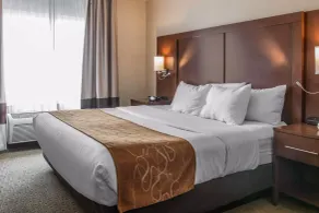 Comfort Suites Wixom - Novi - Chambre
