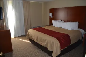 Comfort Inn Savannah Midtown - Zimmer