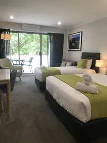 Palm Court Motor Inn - Habitación