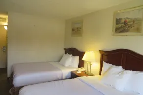Days Inn by Wyndham Columbus Airport - Chambre