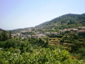 Ambelikos Traditional Agrohotel - Vue de la chambre