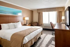 Clarion Hotel Detroit Metro Airport - Vue de la chambre