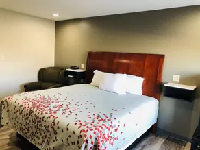 BEL AIR MOTEL - Room