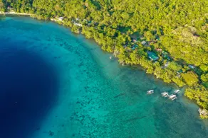 The Three P Beach Resort & Dive Center - Property grounds