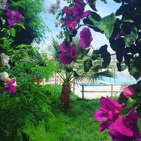 Bitez Marina Hotel - Garden