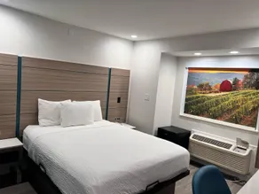 Baymont by Wyndham Henrietta - Rochester - Chambre