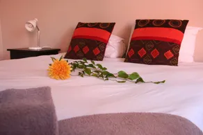 Dunedin Star Guesthouse - Værelse