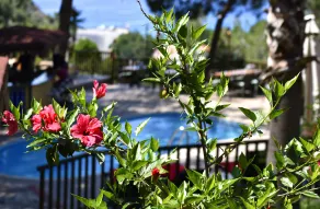 Symbola Oludeniz Beach Hotel - Pool