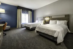 Holiday Inn Express Hotel & Suites Festus-South St. Louis by IHG - Chambre