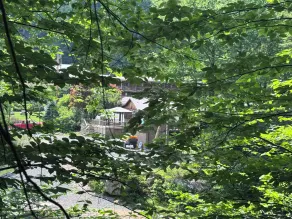 FOur Seasons Lodge - Diverse