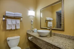 Comfort Suites Old Town Spring - Badeværelse