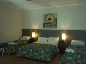 Mid City Motor Inn - Room