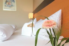 Hotel Leinsweiler Hof - Room