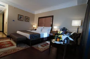 Ramada Plaza by Wyndham Gevgelija - Room