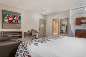 Red Roof Inn Houston Brookhollow - Camera
