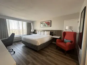 Wyndham Garden Norfolk Downtown - Chambre