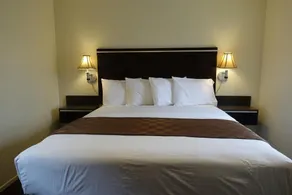 Baycities Motel - Chambre