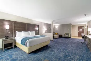 Comfort Suites Humble Houston IAH - Habitación
