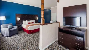 Best Western Spring Hill Inn & Suites - Chambre