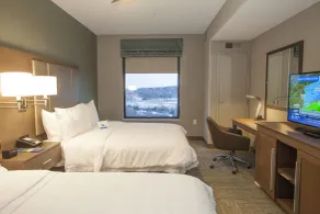 Hampton Inn & Suites Downtown St. Paul - Vue de la chambre