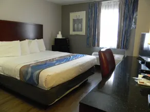 Travelodge Inn & Suites by Wyndham Albany - Room