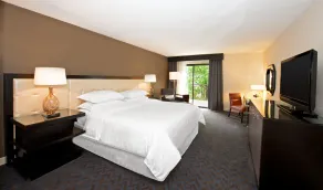 Sheraton Minneapolis West Hotel - Chambre