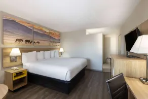 Days Inn by Wyndham Roswell - Chambre