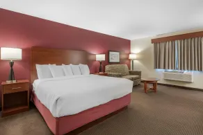 SureStay Plus Hotel by Best Western Litchfield - Zimmer