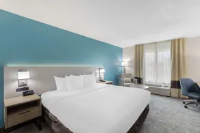 Comfort Inn US Hwy 80 - Rom