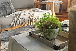 The Watson Boutique Bed and Breakfast - Lobby