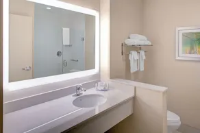 Fairfield Inn & Suites by Marriott Detroit Canton - Salle de bain