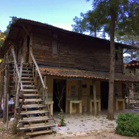 Kadir's Tree Houses - Bad
