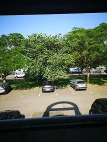 Première Classe Tarbes - Bastillac - View from room