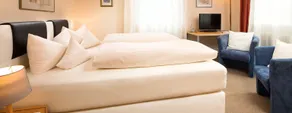 Hotel Alpenrose - Room