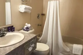 Knights Inn Fort Erie - Salle de bain