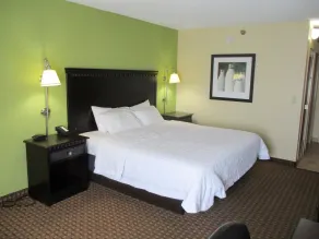 Wingate by Wyndham Conway AR - Chambre