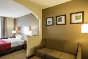 Quality Suites Morristown West - Chambre