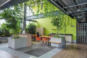 Purísima 5 0 - Lobby