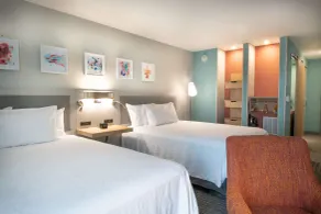 Hilton Garden Inn - Asheville South - Chambre