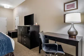 Comfort Inn & Suites Atlanta-Smyrna - Chambre