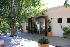 Albergue Inturjoven Punta Umbría - Recepción