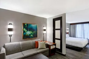 Hyatt Place Birmingham/Hoover - Chambre