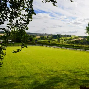 Black Horse Beamish - View from room
