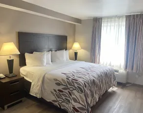 Red Roof Inn Pittsburgh - McKnight Rd - Chambre