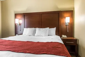 Comfort Suites Effingham Central - Chambre