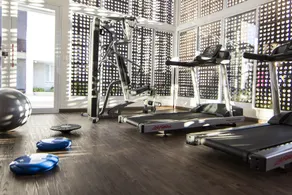 ibis Jundiai Shopping - Gym