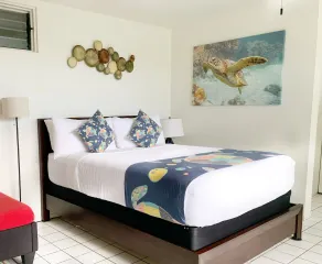Big Island Retreat - No Resort Fees - Rom