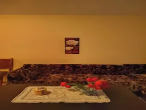 Cozy Little Flat in Karlovo - Wohnbereich